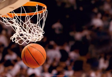 24VS体育直播-舒华健身器材技术参数大全及用户使用体验总结