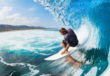 24VS体育直播-法甲顶级射手本赛季进球数据与表现概览